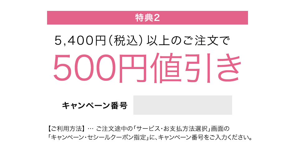 特典2.5,400円(税込)以上のご注文で500円値引き